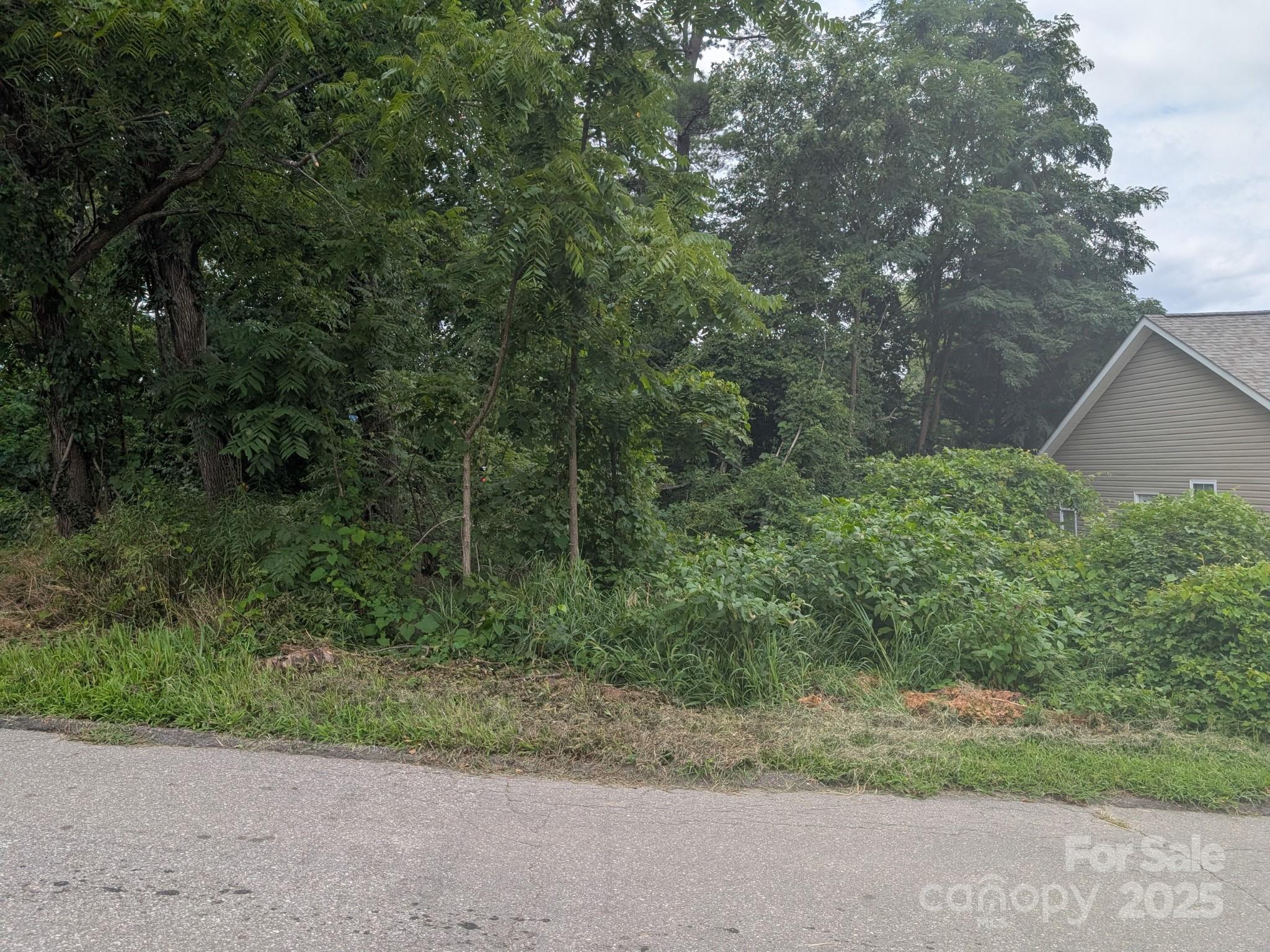 Lincoln Park Extension - Land