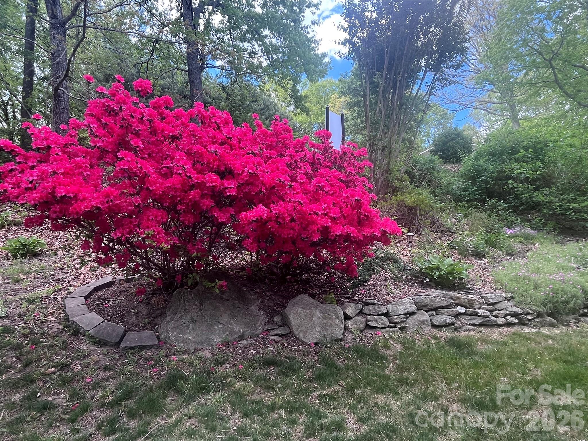 Lamplighter Estates - Residential