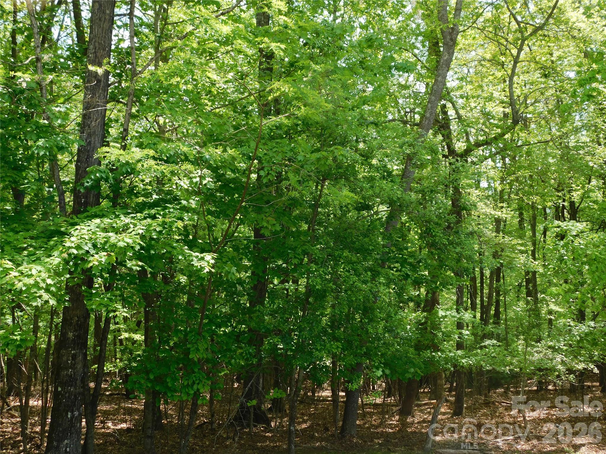 Glen Cannon - Residential