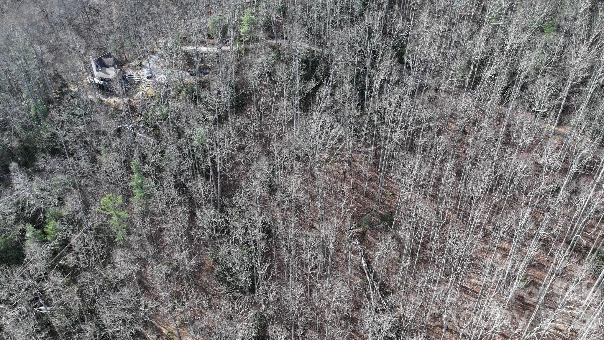1971 Swiss Pine Lake Dr, Spruce Pine, NC, 28777, USA, 2 Bedrooms Bedrooms, ,3 BathroomsBathrooms,Residential,Active,1971 Swiss Pine Lake Dr,4386053