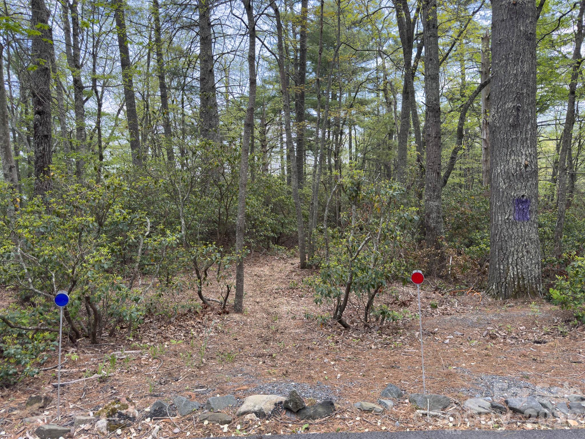 1971 Swiss Pine Lake Dr, Spruce Pine, NC, 28777, USA, 2 Bedrooms Bedrooms, ,3 BathroomsBathrooms,Residential,Active,1971 Swiss Pine Lake Dr,4386053