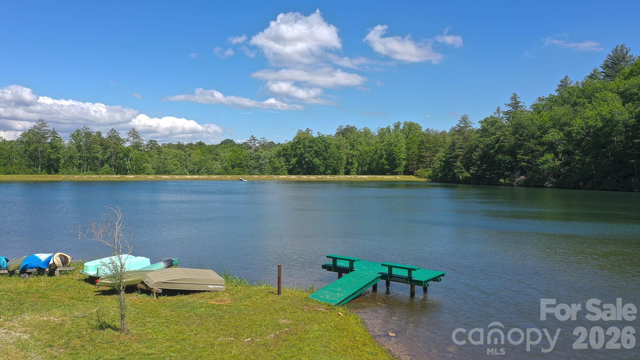1971 Swiss Pine Lake Dr, Spruce Pine, NC, 28777, USA, 2 Bedrooms Bedrooms, ,3 BathroomsBathrooms,Residential,Active,1971 Swiss Pine Lake Dr,4386053