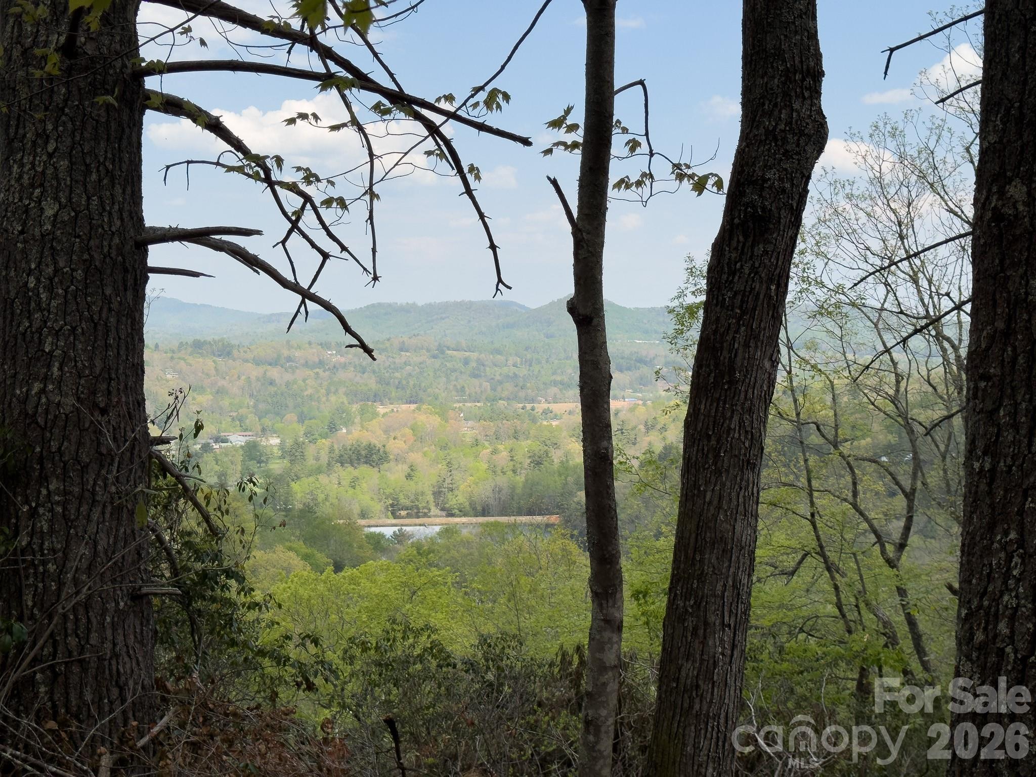 1971 Swiss Pine Lake Dr, Spruce Pine, NC, 28777, USA, 2 Bedrooms Bedrooms, ,3 BathroomsBathrooms,Residential,Active,1971 Swiss Pine Lake Dr,4386053