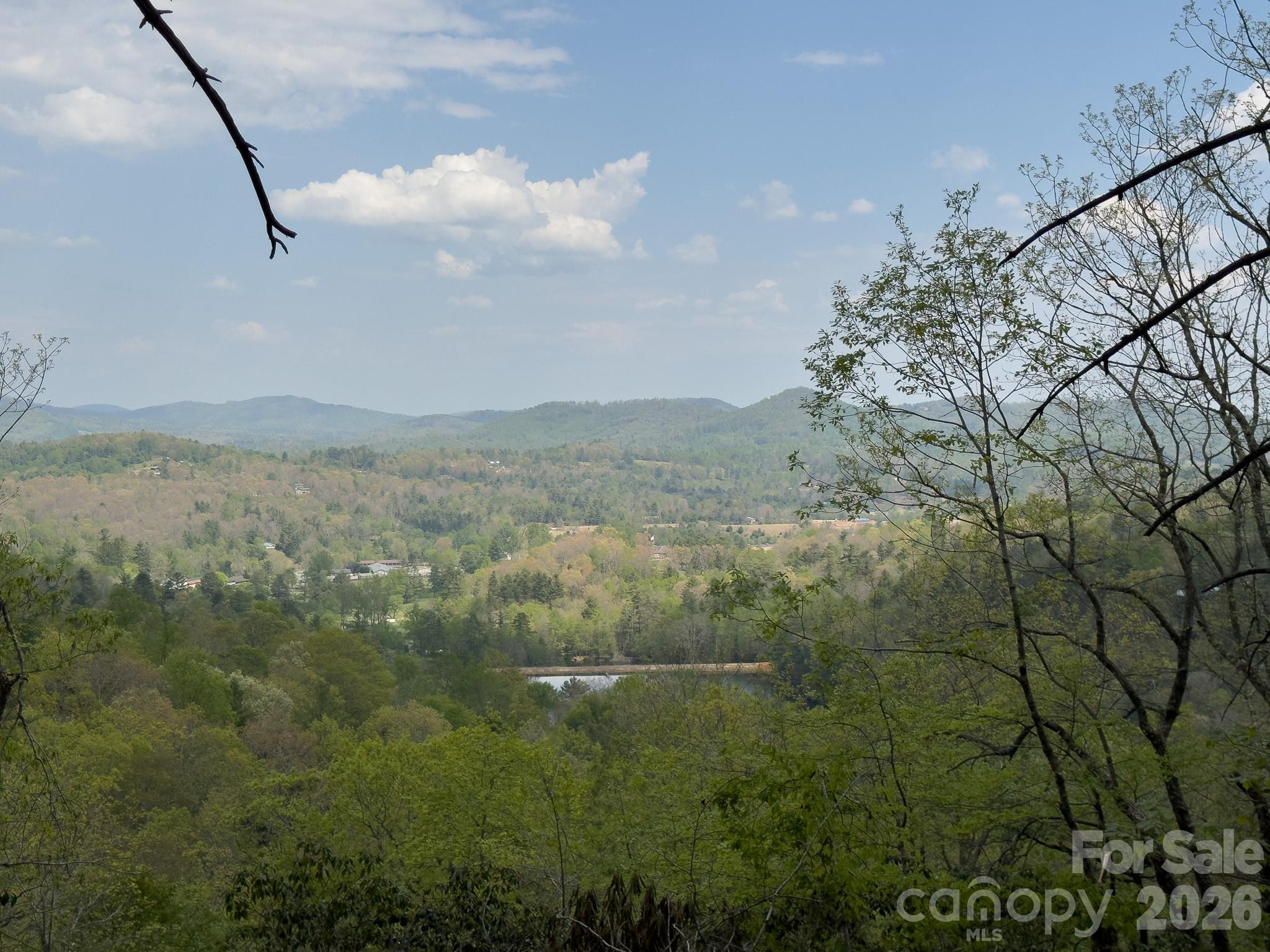 1971 Swiss Pine Lake Dr, Spruce Pine, NC, 28777, USA, 2 Bedrooms Bedrooms, ,3 BathroomsBathrooms,Residential,Active,1971 Swiss Pine Lake Dr,4386053