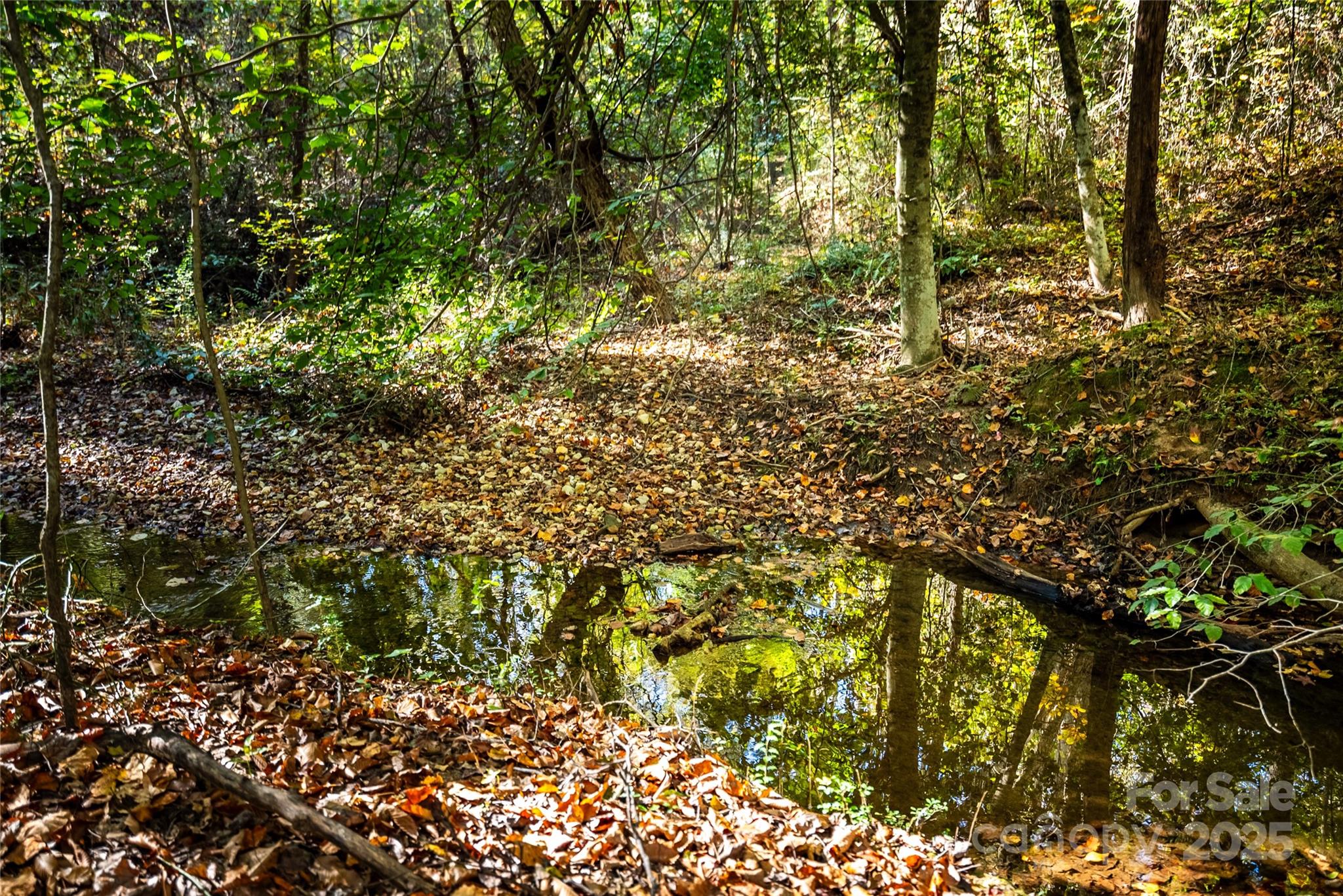 62 Seminole Drive 62