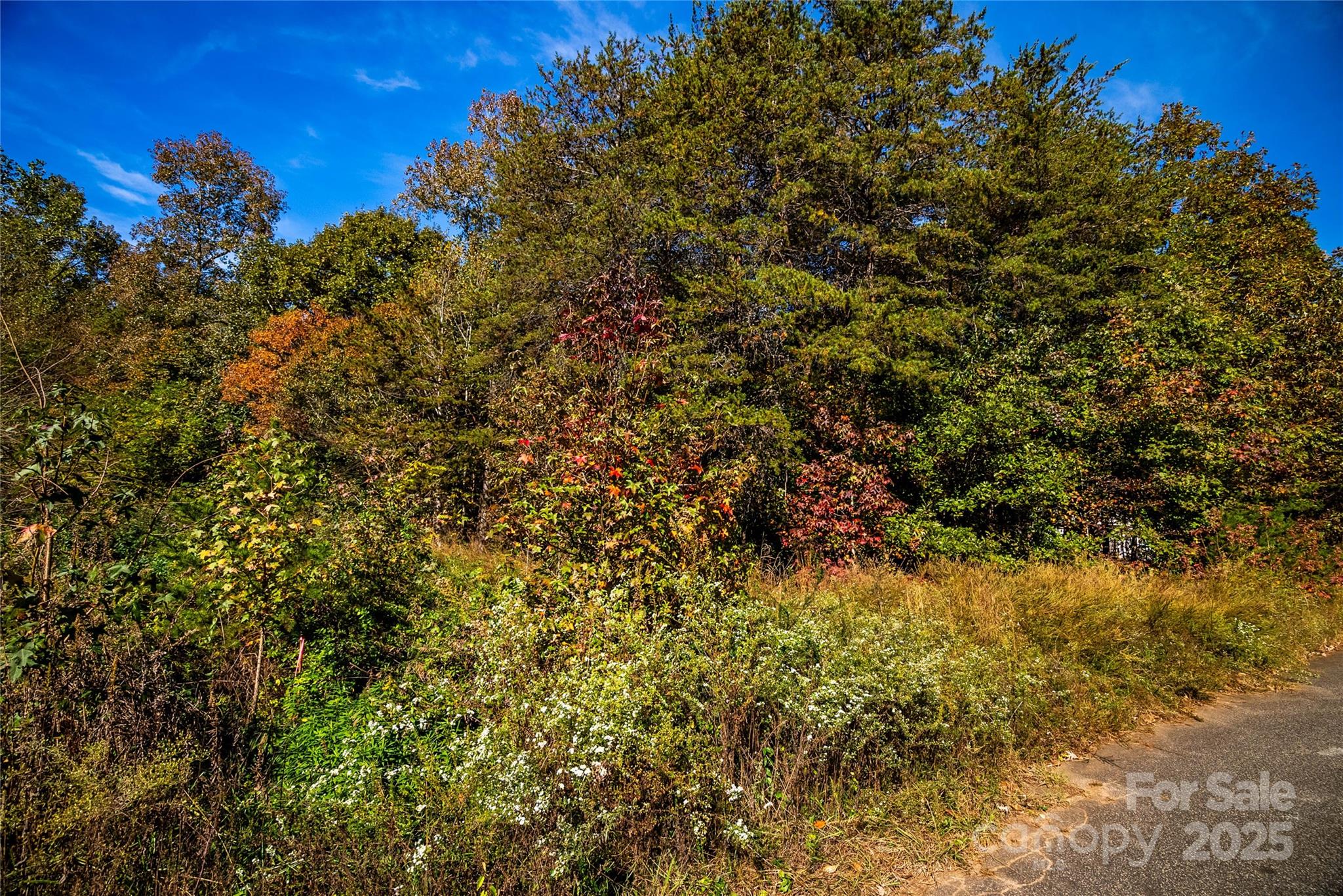 62 Seminole Drive 62