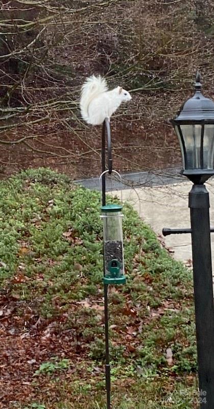 Carriage Park - Residential