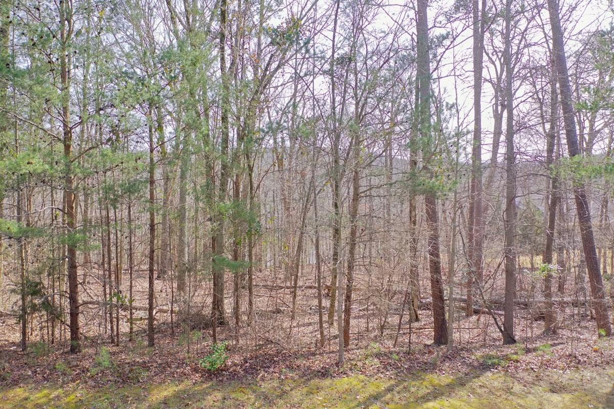 Stoney Point Harbor - Land