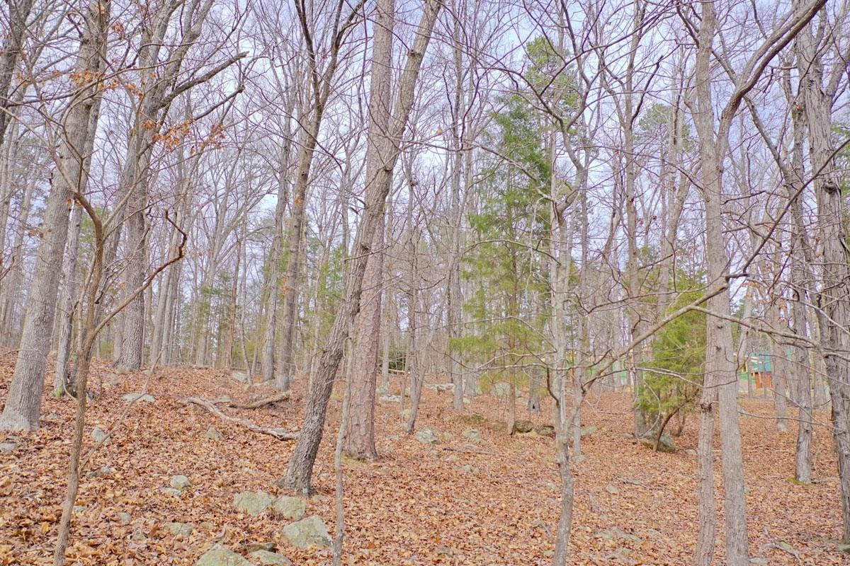 Stoney Point Harbor - Land