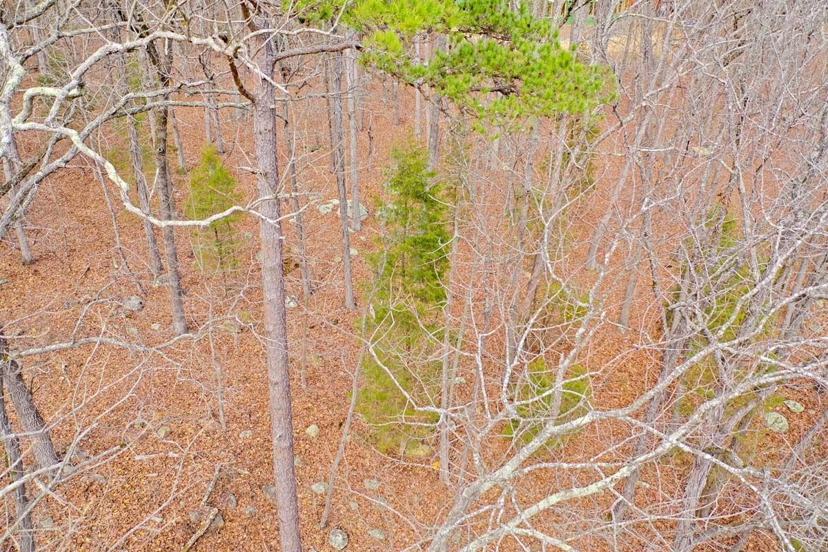 Stoney Point Harbor - Land