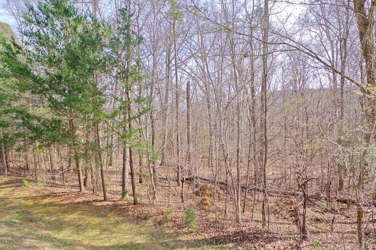 Stoney Point Harbor - Land