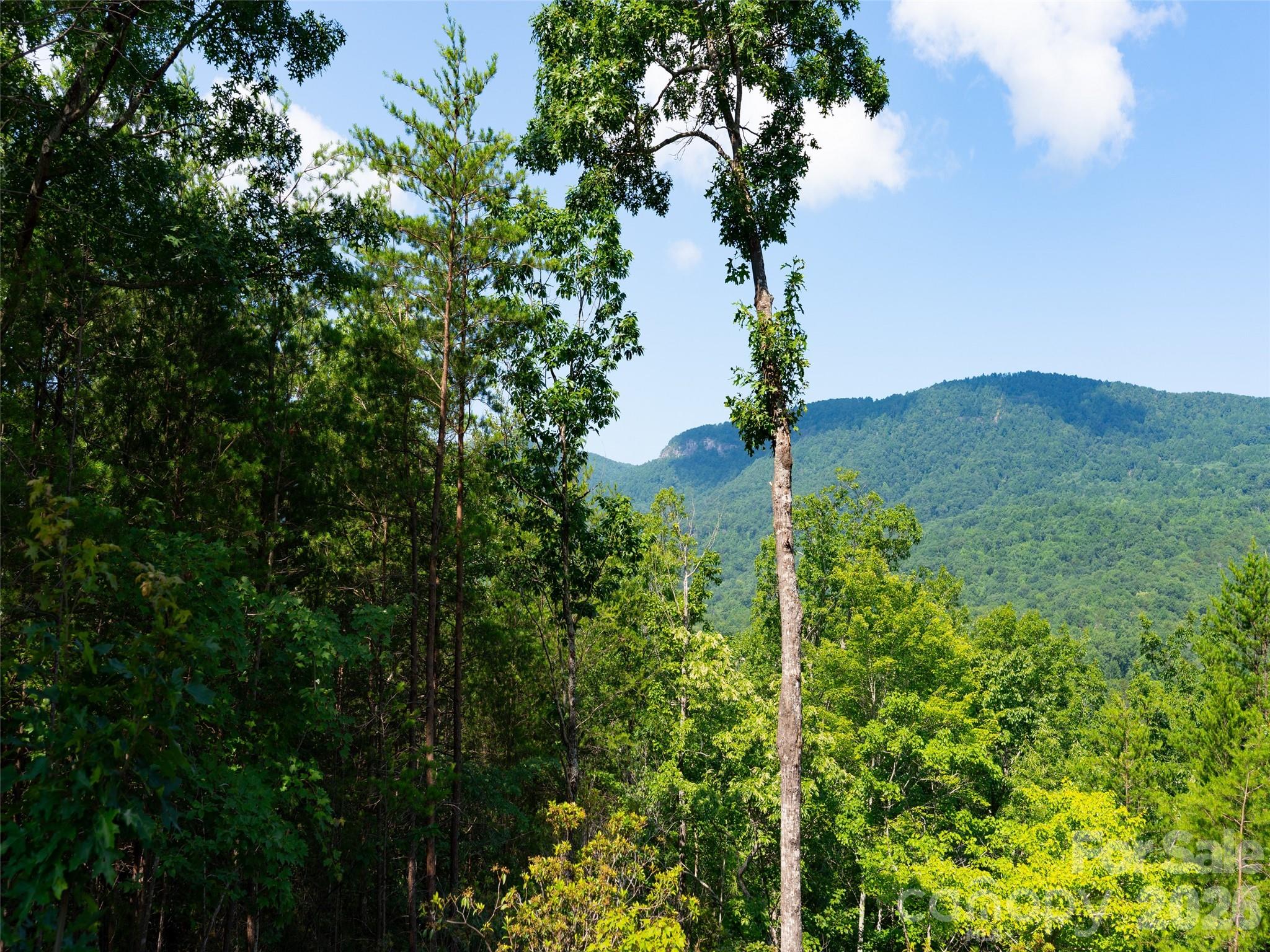 Brights Creek - Residential