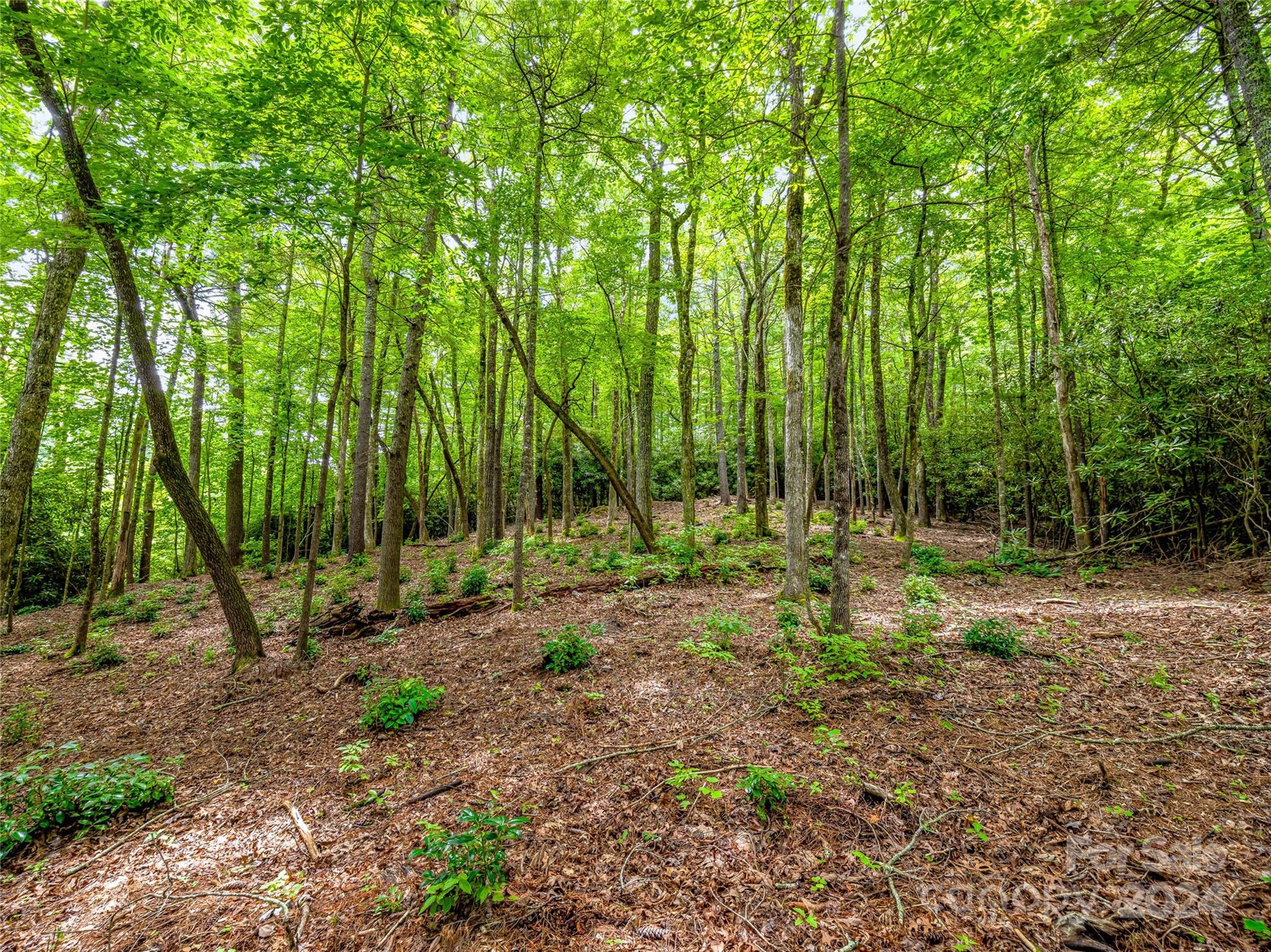 Lake Toxaway Estates - Land