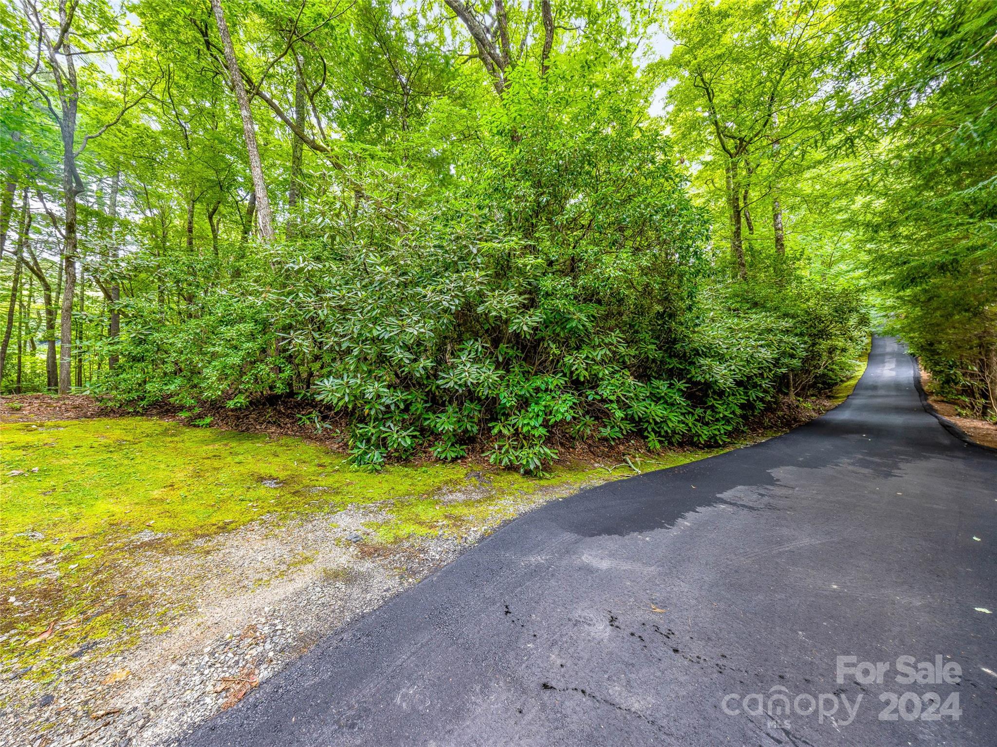 Lake Toxaway Estates - Land