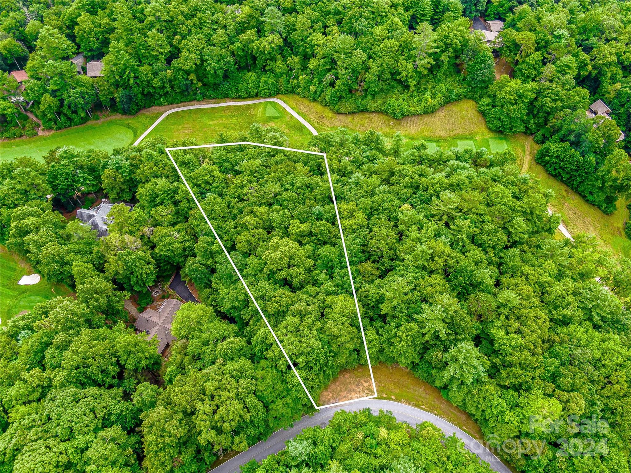 Lake Toxaway Estates - Land