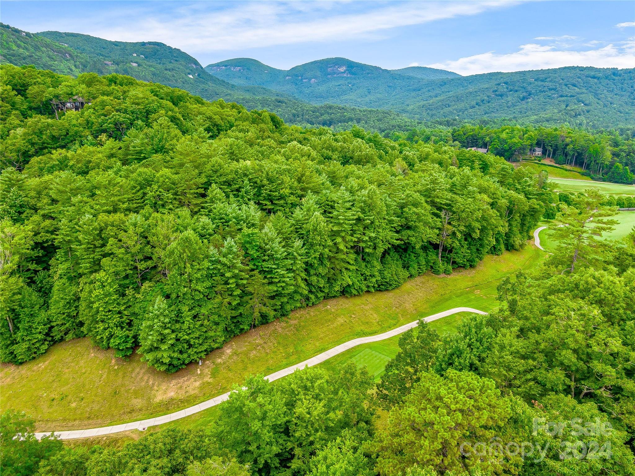 Lake Toxaway Estates - Land