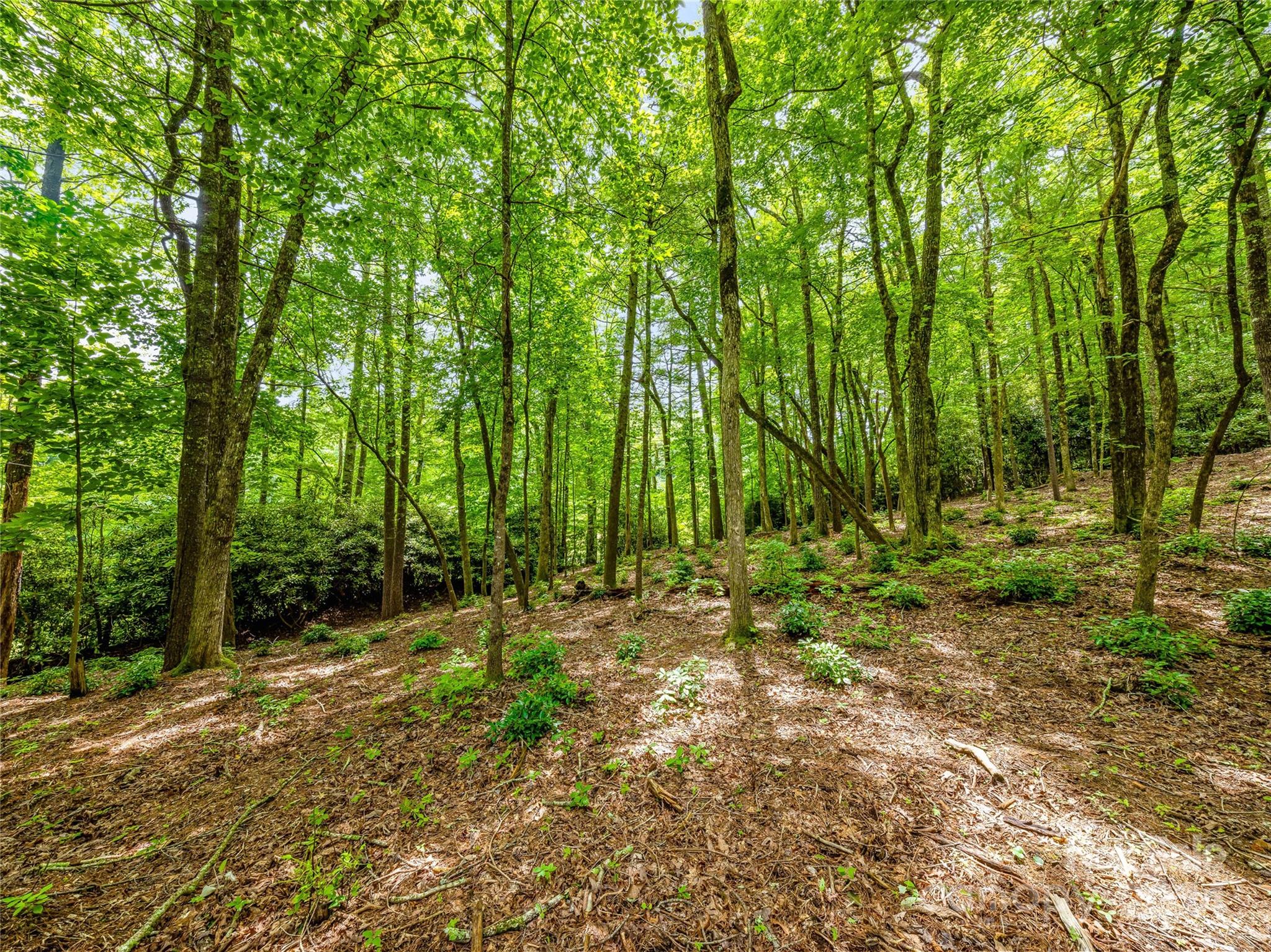 Lake Toxaway Estates - Land