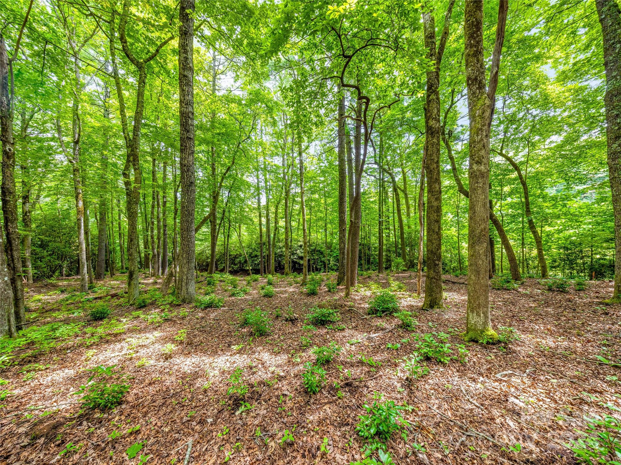 Lake Toxaway Estates - Land