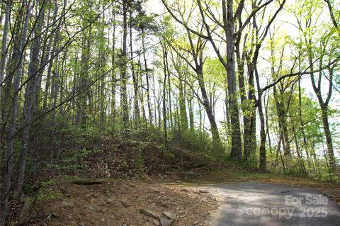 58 Ashewood Mountain Way Candler NC 28715
