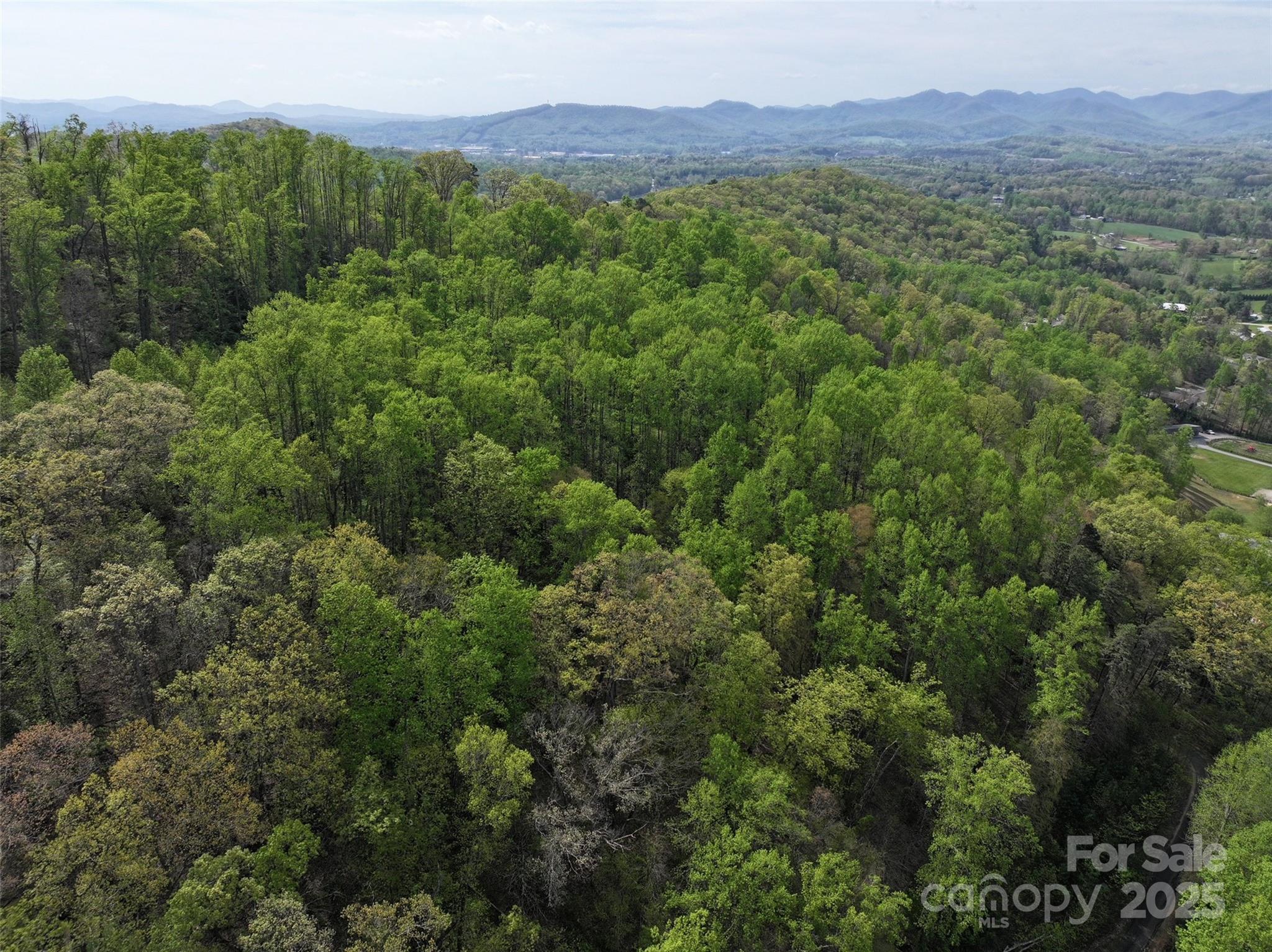 58 Ashewood Mountain Way