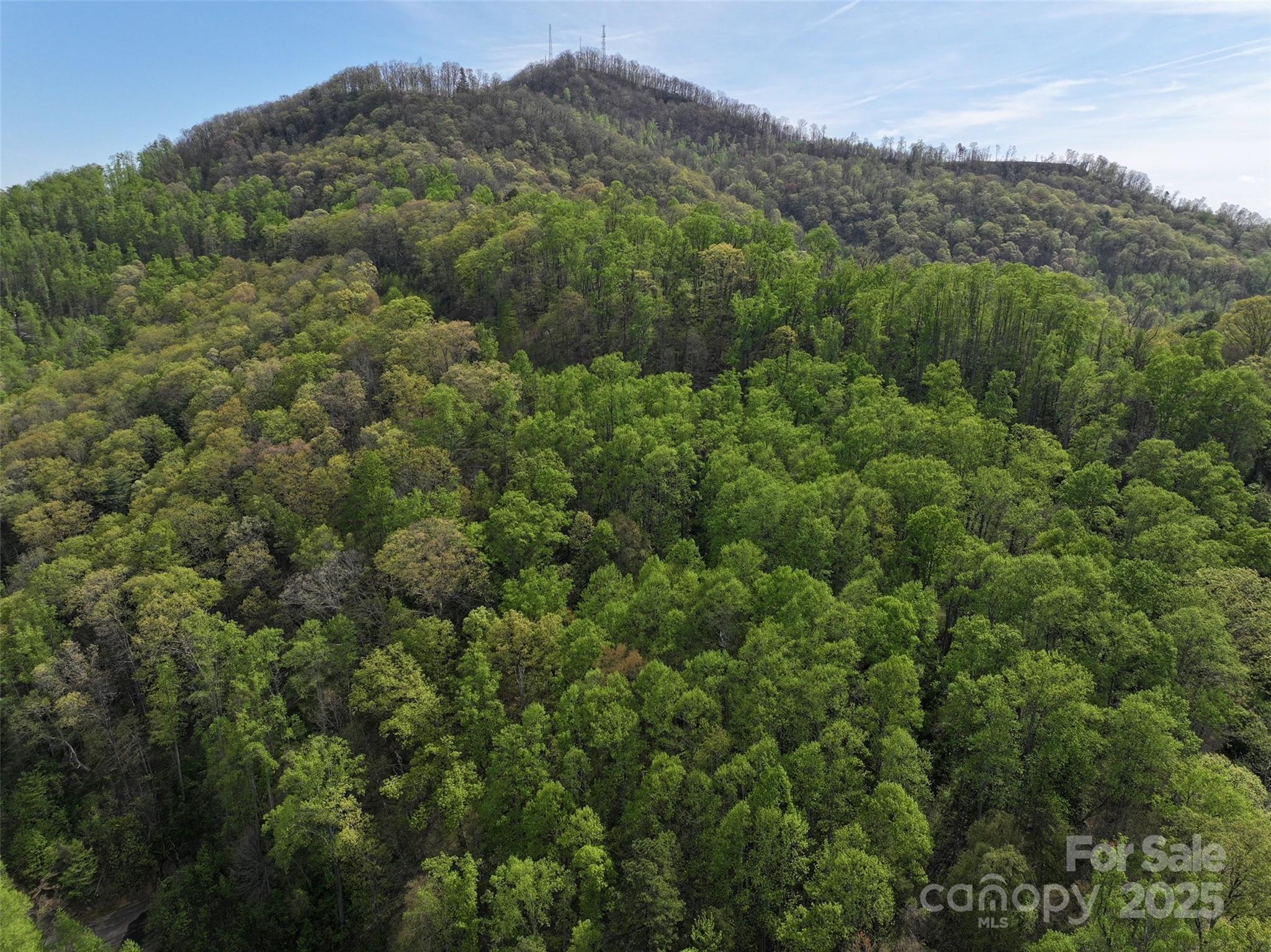 58 Ashewood Mountain Way