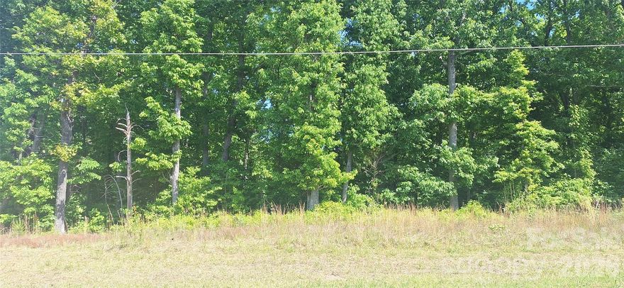 Established neighborhood. Easy access to Highway 321. Short distance from Lincolnton and Gastonia.