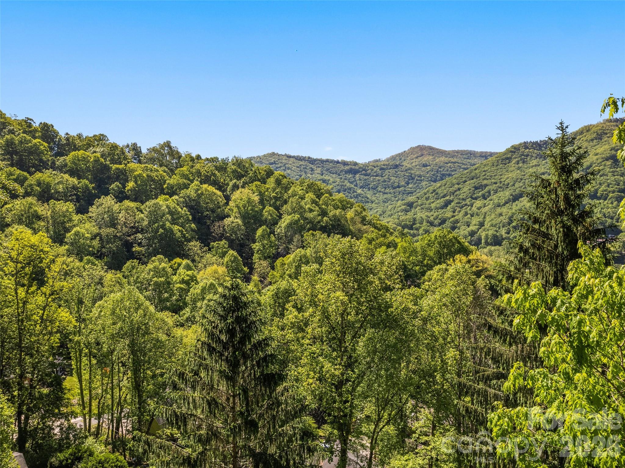 Maggie Valley Country Club Est - Residential