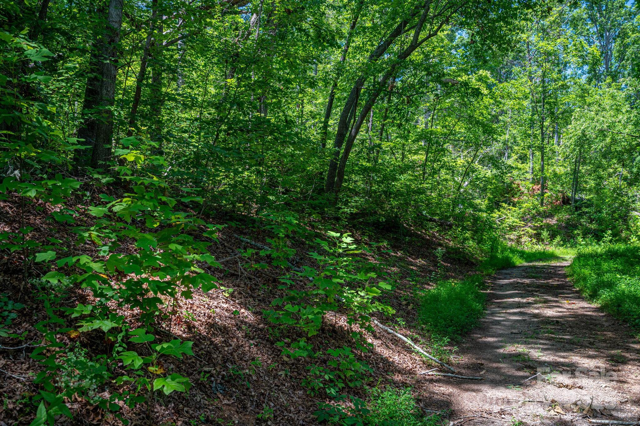 Lot 221 Plantation Drive
