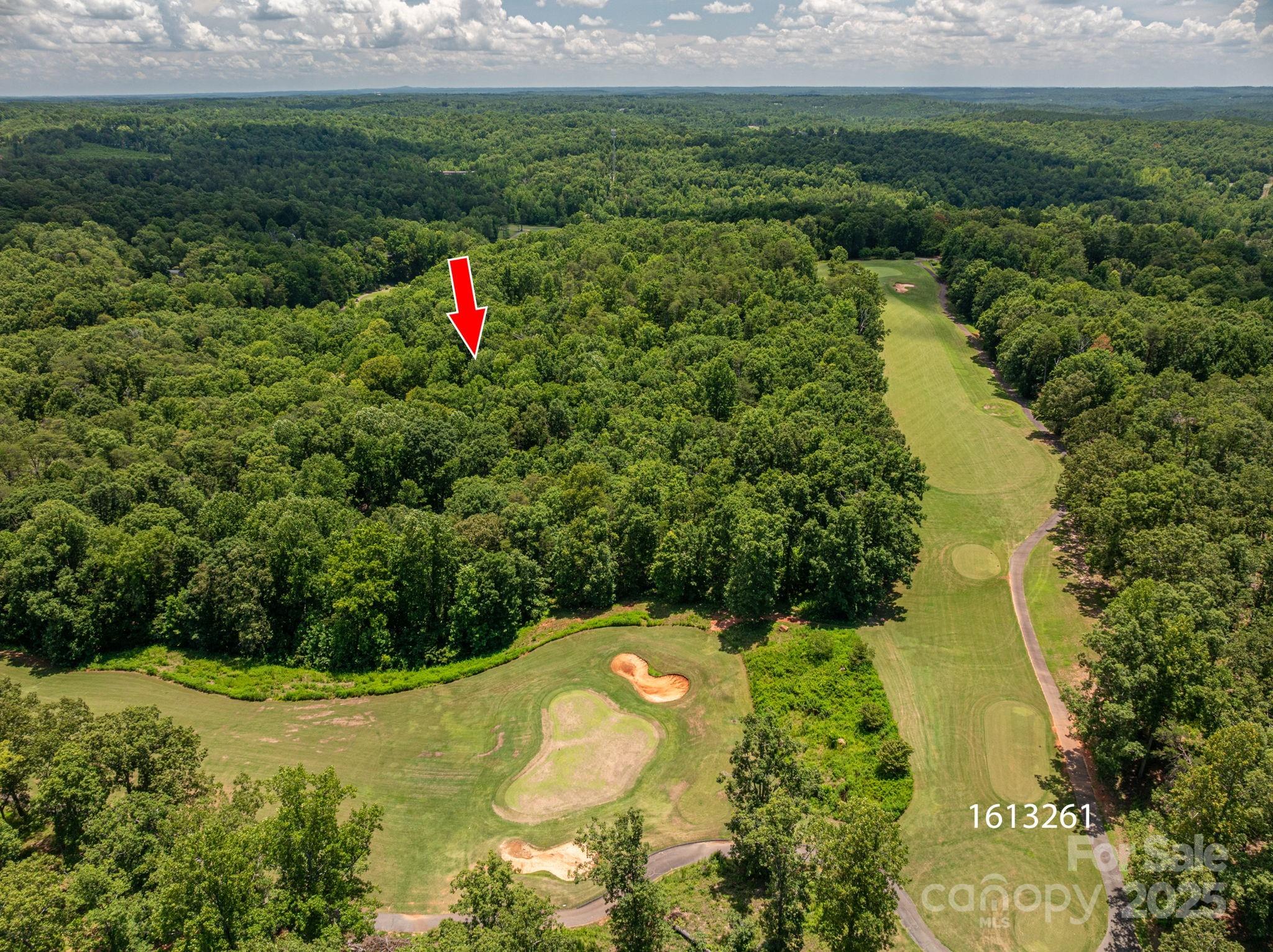 Cleghorn Plantation - Land