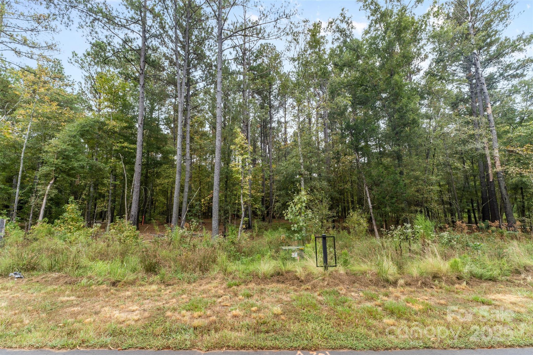 Riverchase Estates - Land