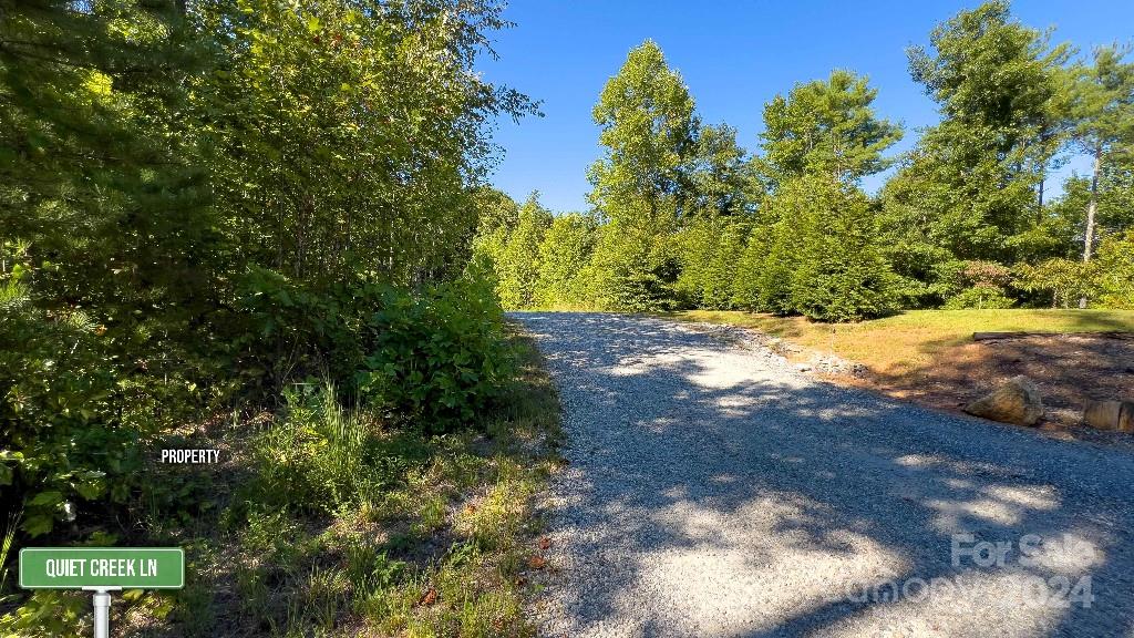 Forest Creek - Land