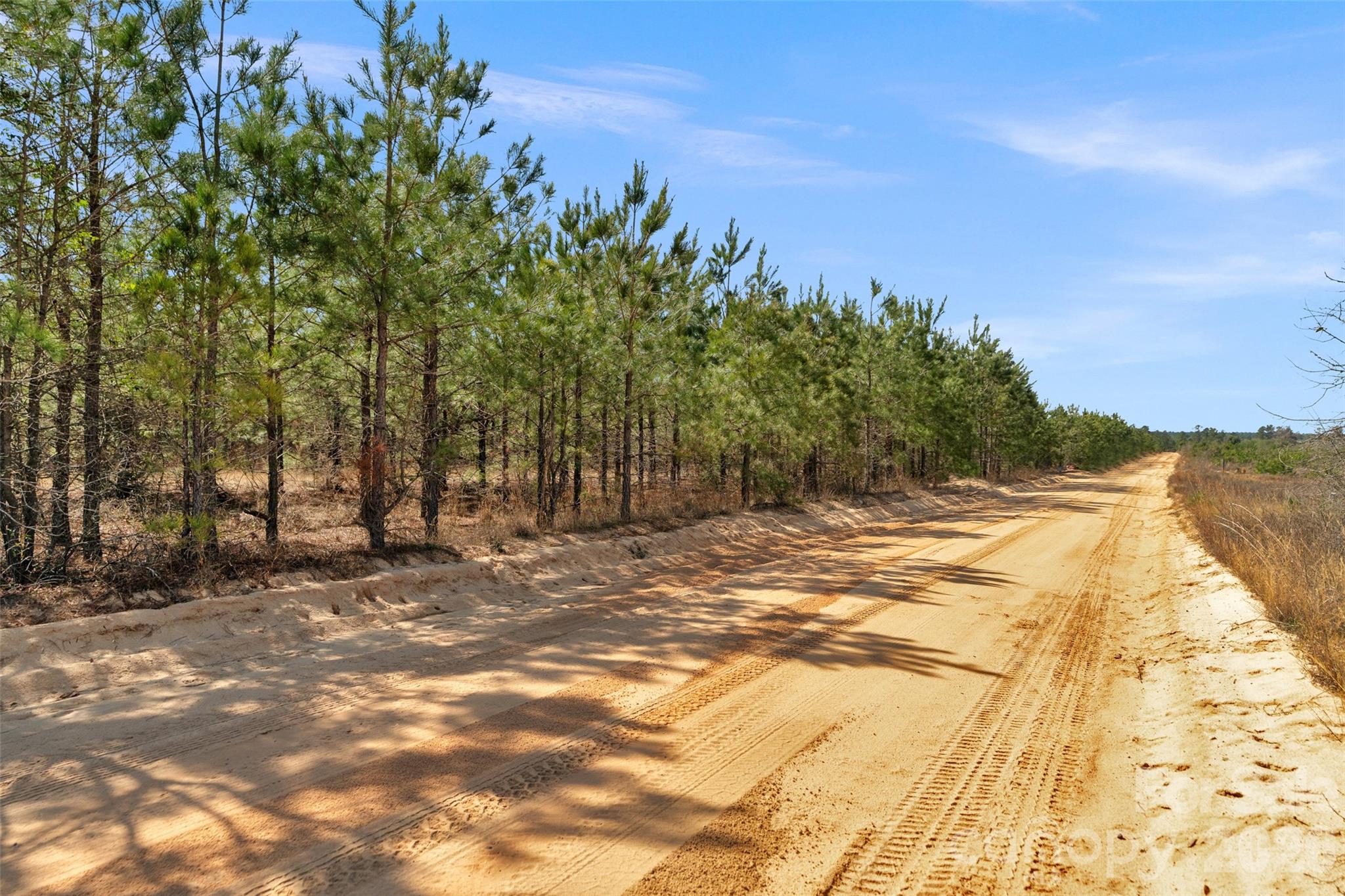 931 Charlie Johnson Road 11