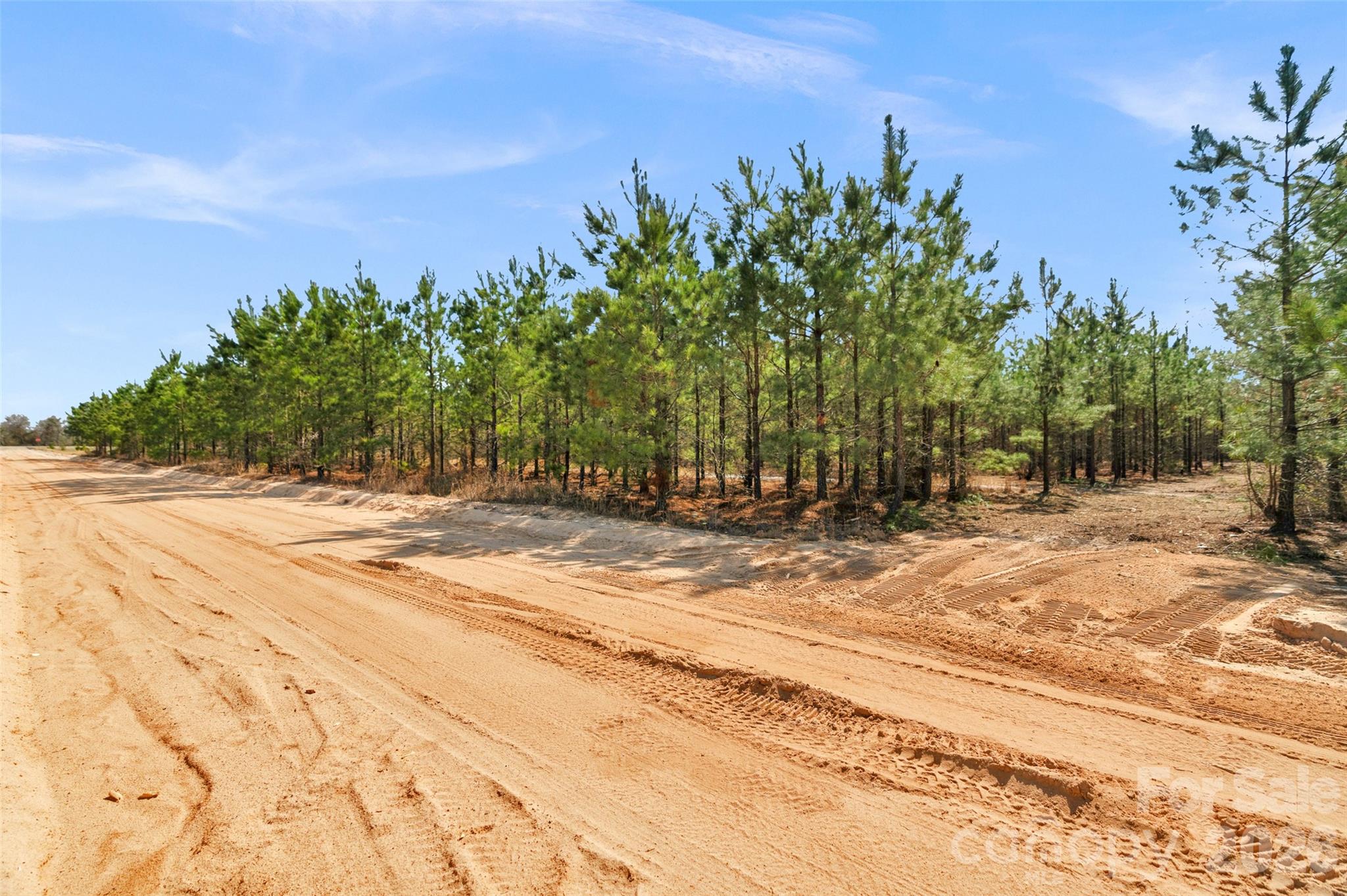 931 Charlie Johnson Road 11