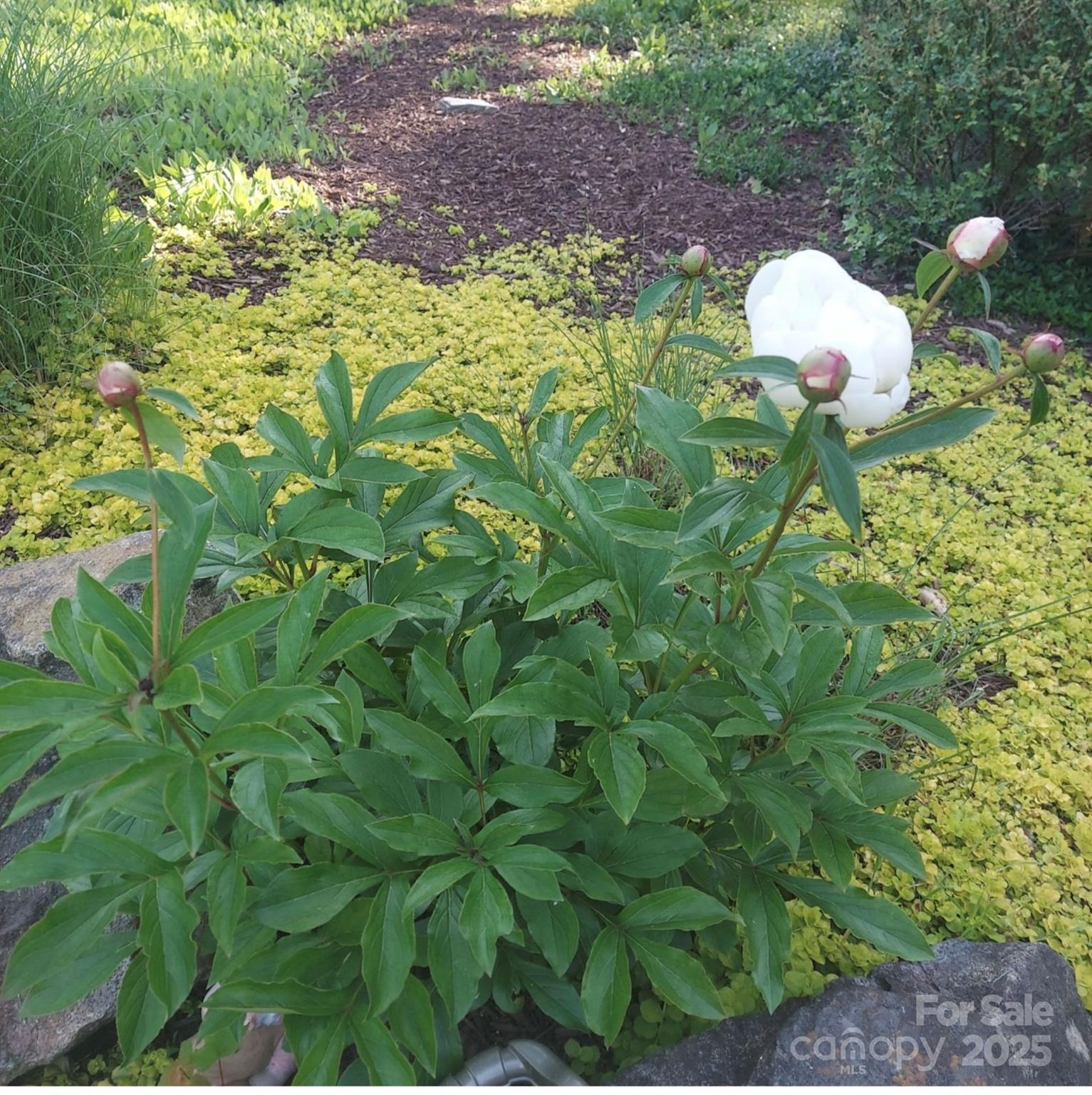 High Timbers - Residential