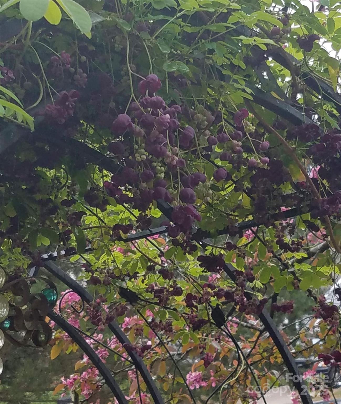 High Timbers - Residential