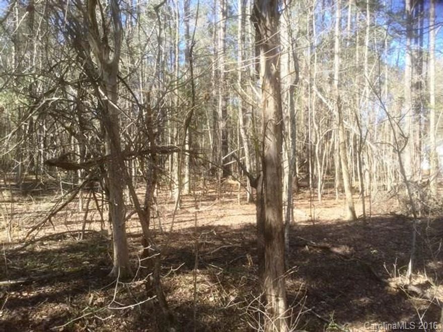 Nice wooded residential lot offering lots of privacy. Convenient location. Great for building your dream home in the country. Access off Peachtree Road is a gravel road.