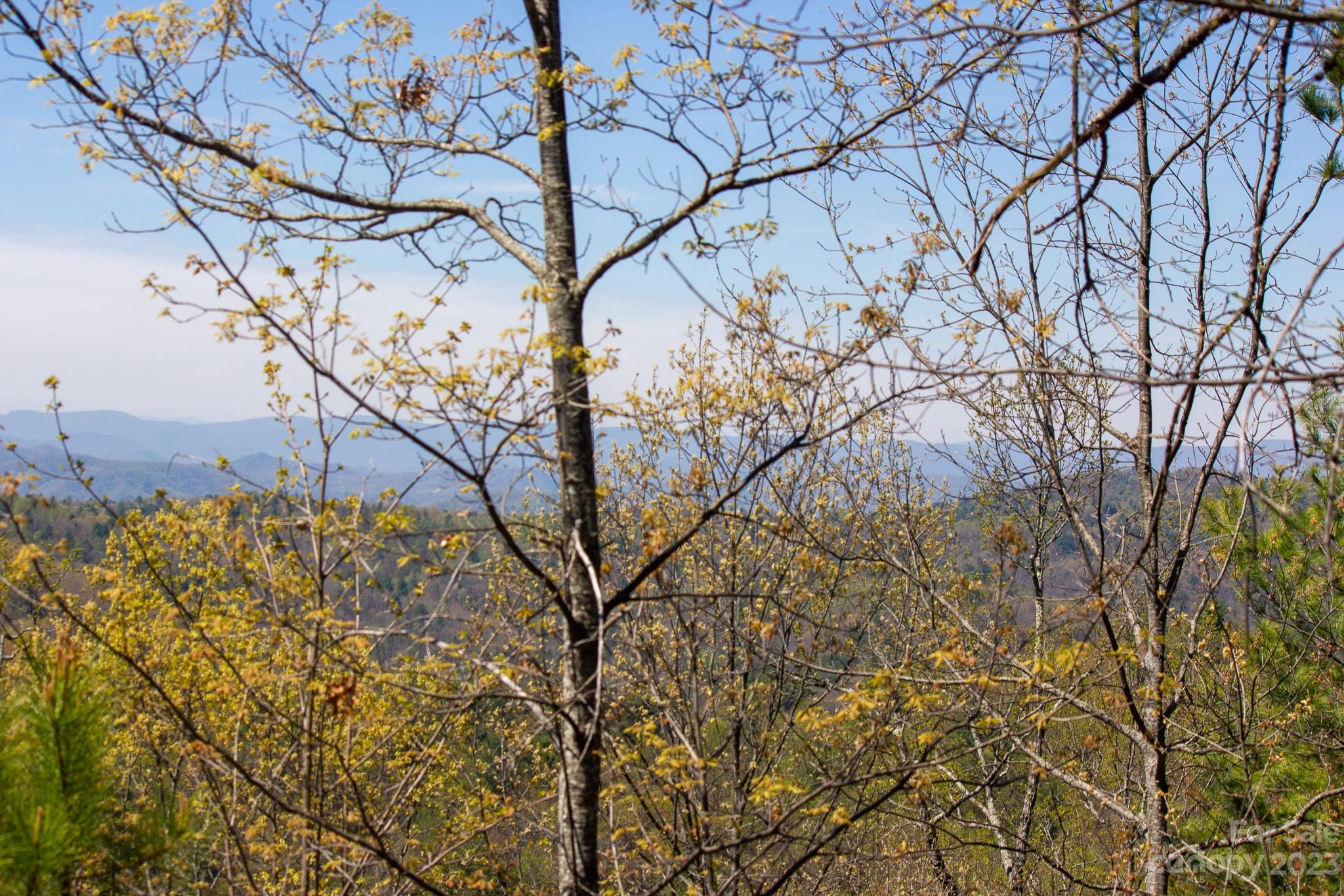Timber Rock - Land