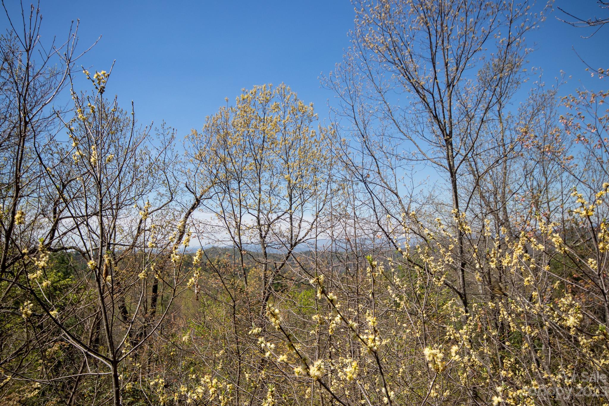 Timber Rock - Land