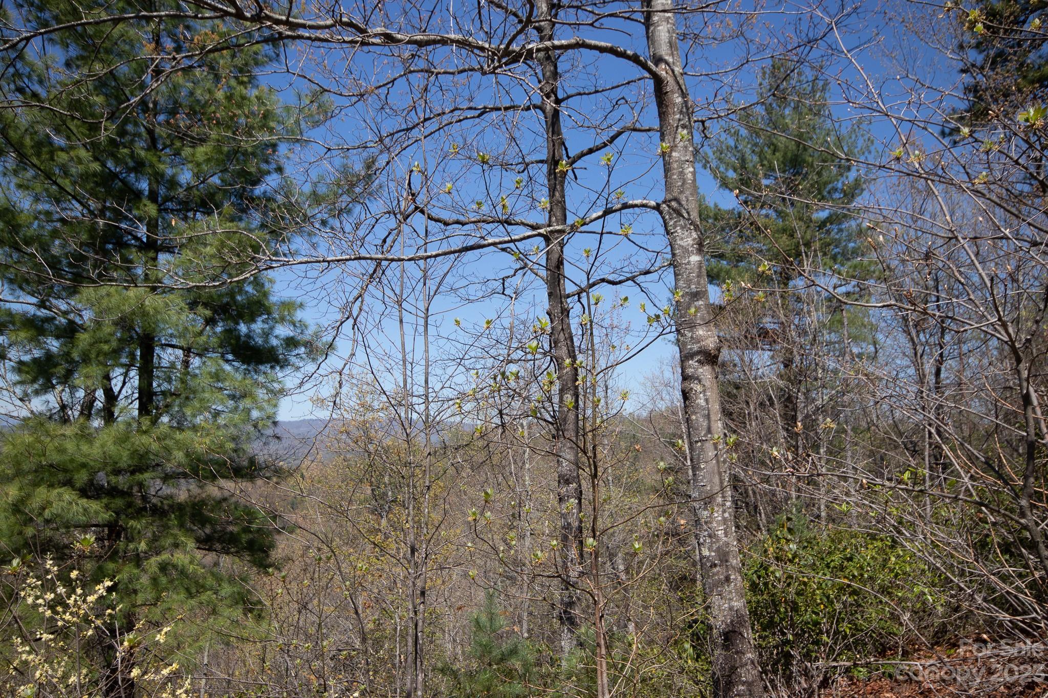 Timber Rock - Land
