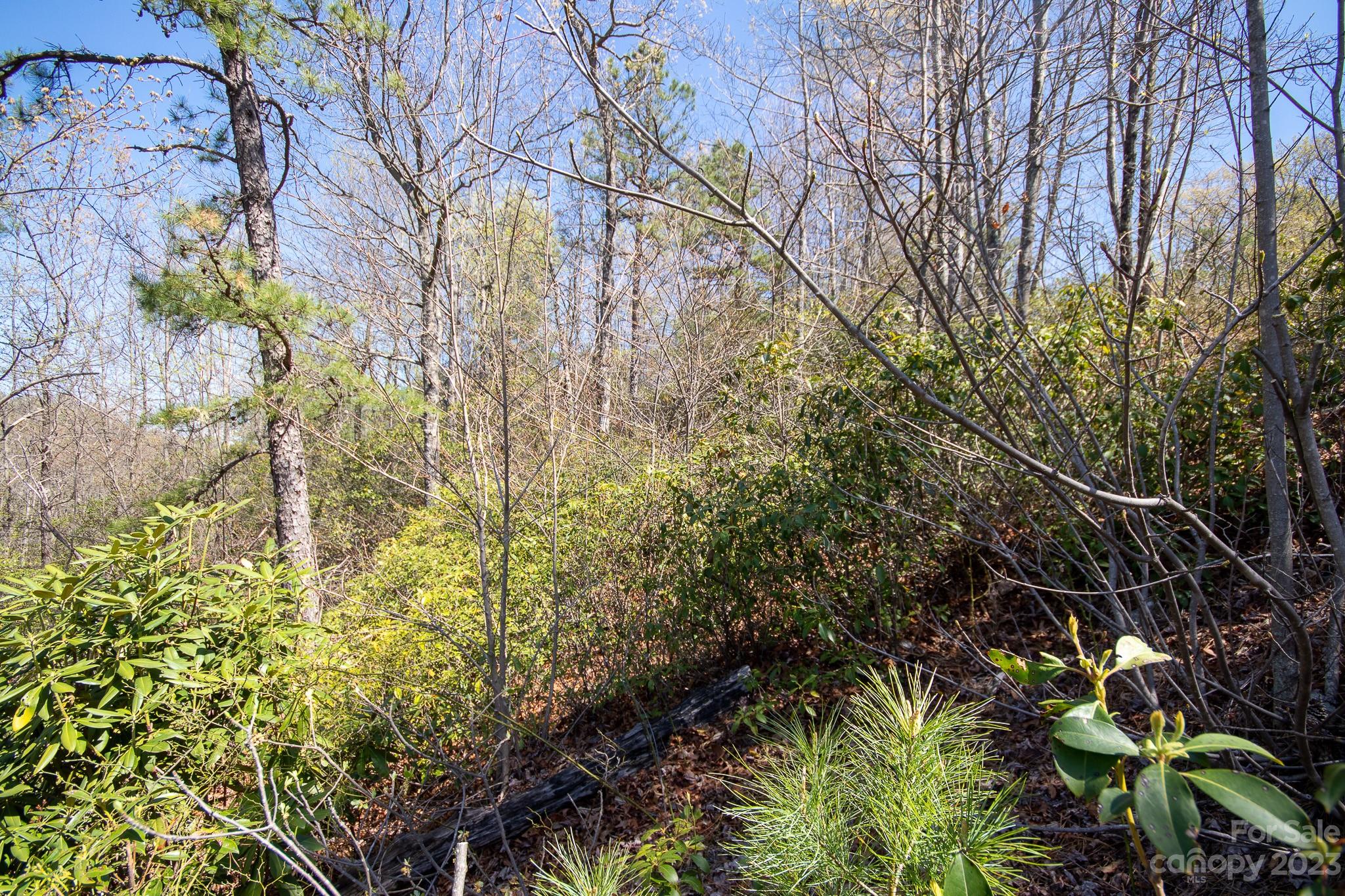 Timber Rock - Land