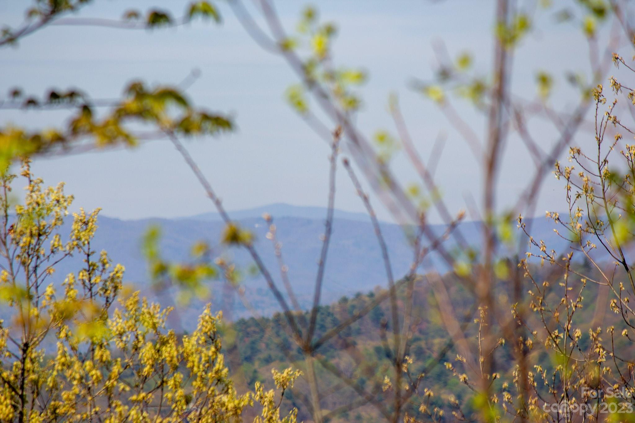 Timber Rock - Land