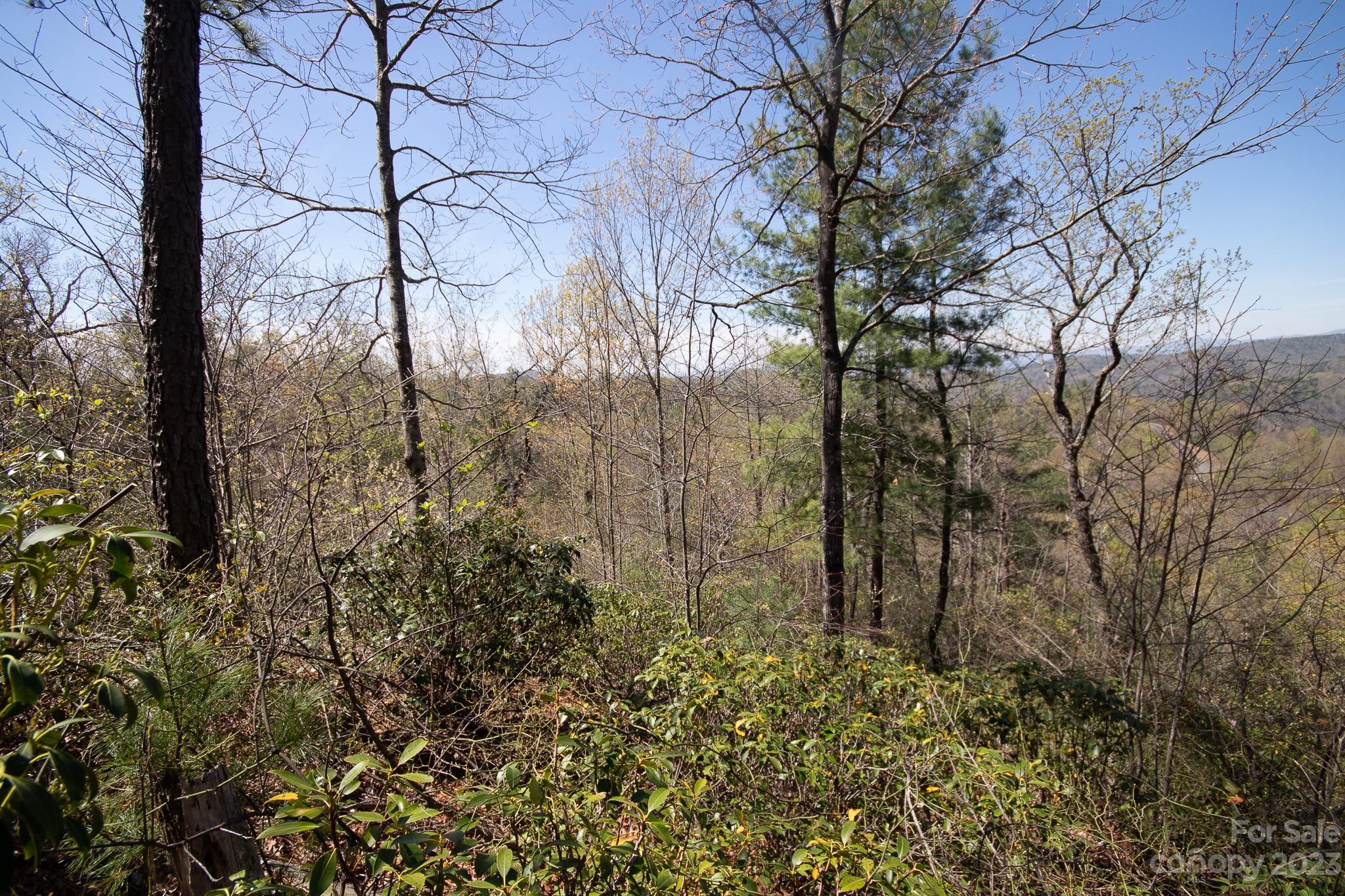 Timber Rock - Land