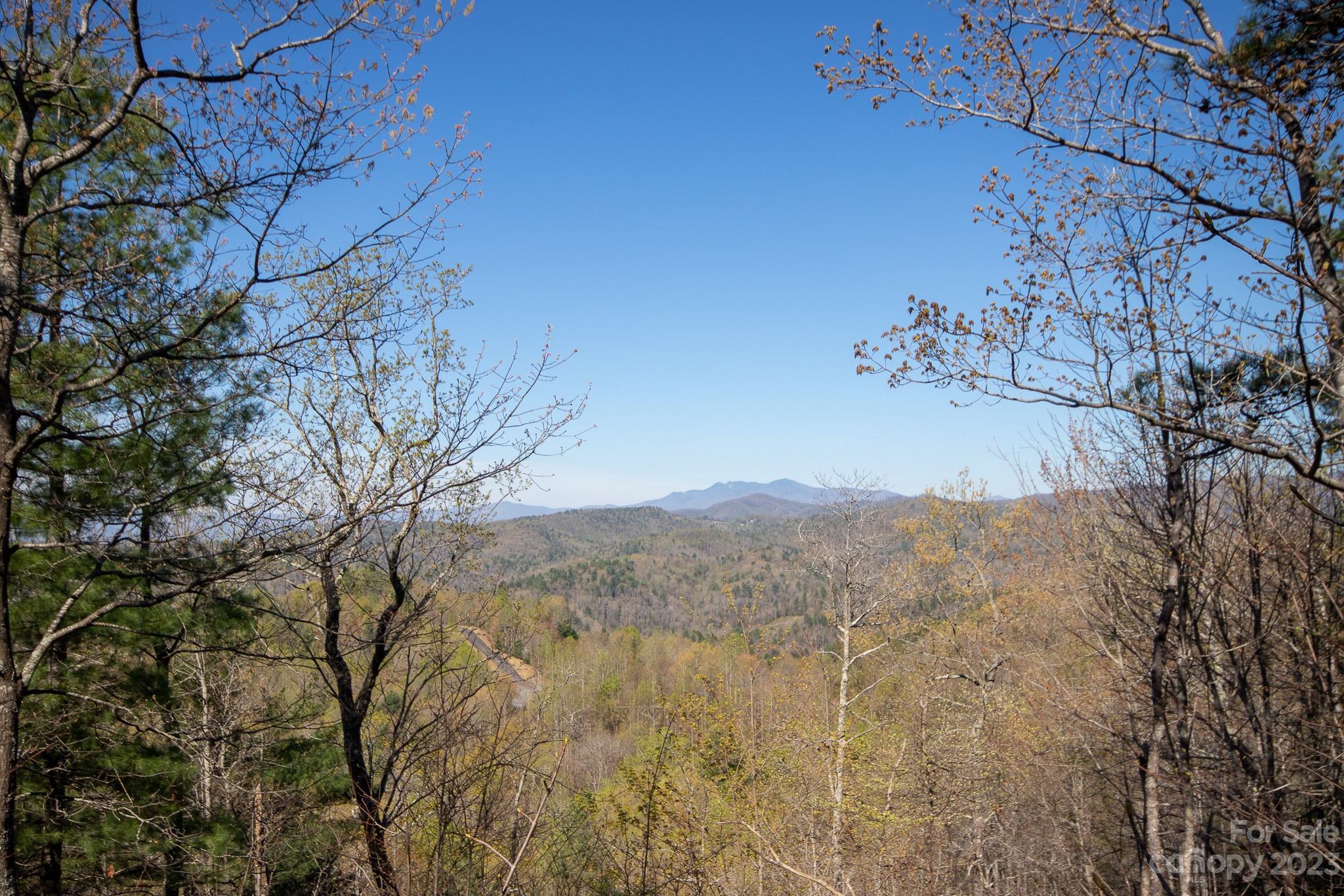 Timber Rock - Land