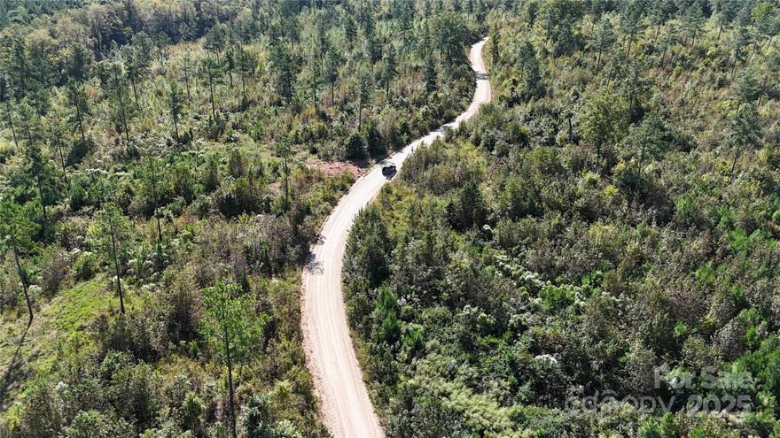 Enjoy the relaxed charm of Pageland, SC! This solid 1+ acre lot sits in a 35-lot neighborhood, just minutes from downtown's handy shops and eateries. Modular homes okay. Check out all 35 lots—ask about multi-lot options!