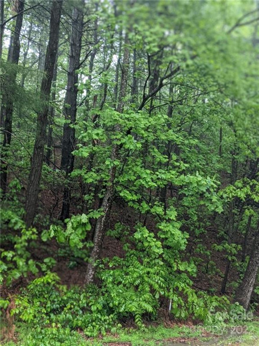 Come take a look at this mountain top development that is just minutes away from Tryon. This 1.15 acre lot has possible winter mtn views and makes for a nice setting for your getaway cabin or retreat. This gated community offers a private well water system, 2 lakes and a small club house. The 2000+ foot elevation gives you cooler summers with less of those pesky flying bugs.
For more information on Melrose Mountain go to: www.melrosemountain.org