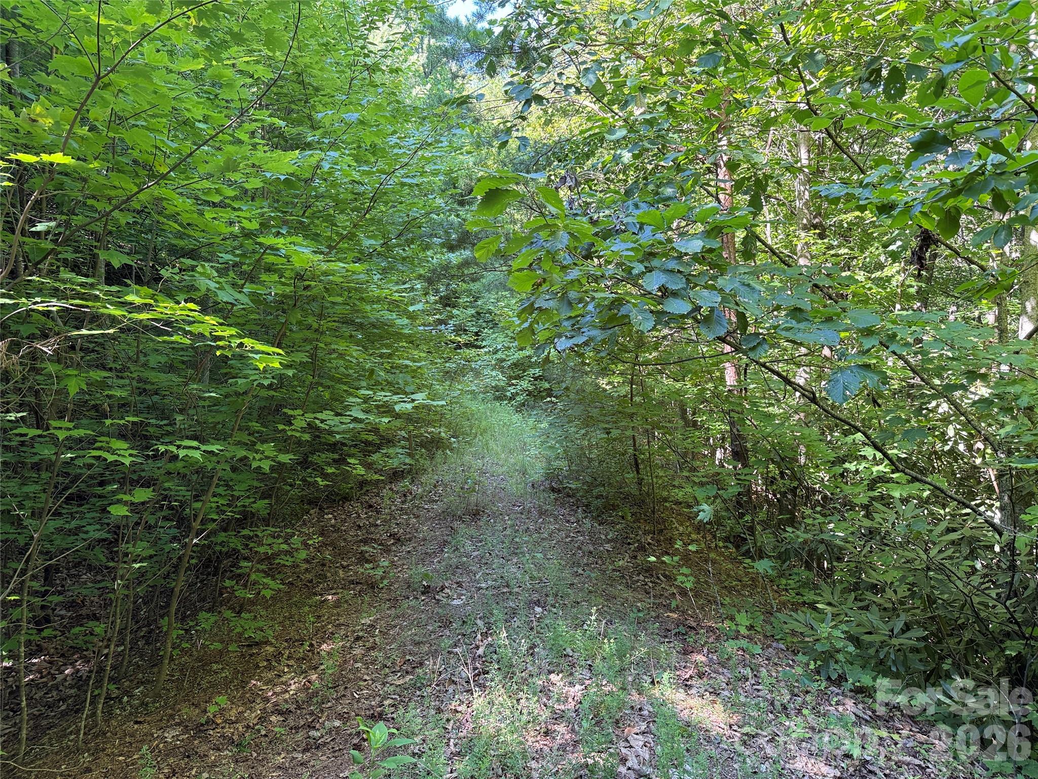TBD Casey Mountain Road 222