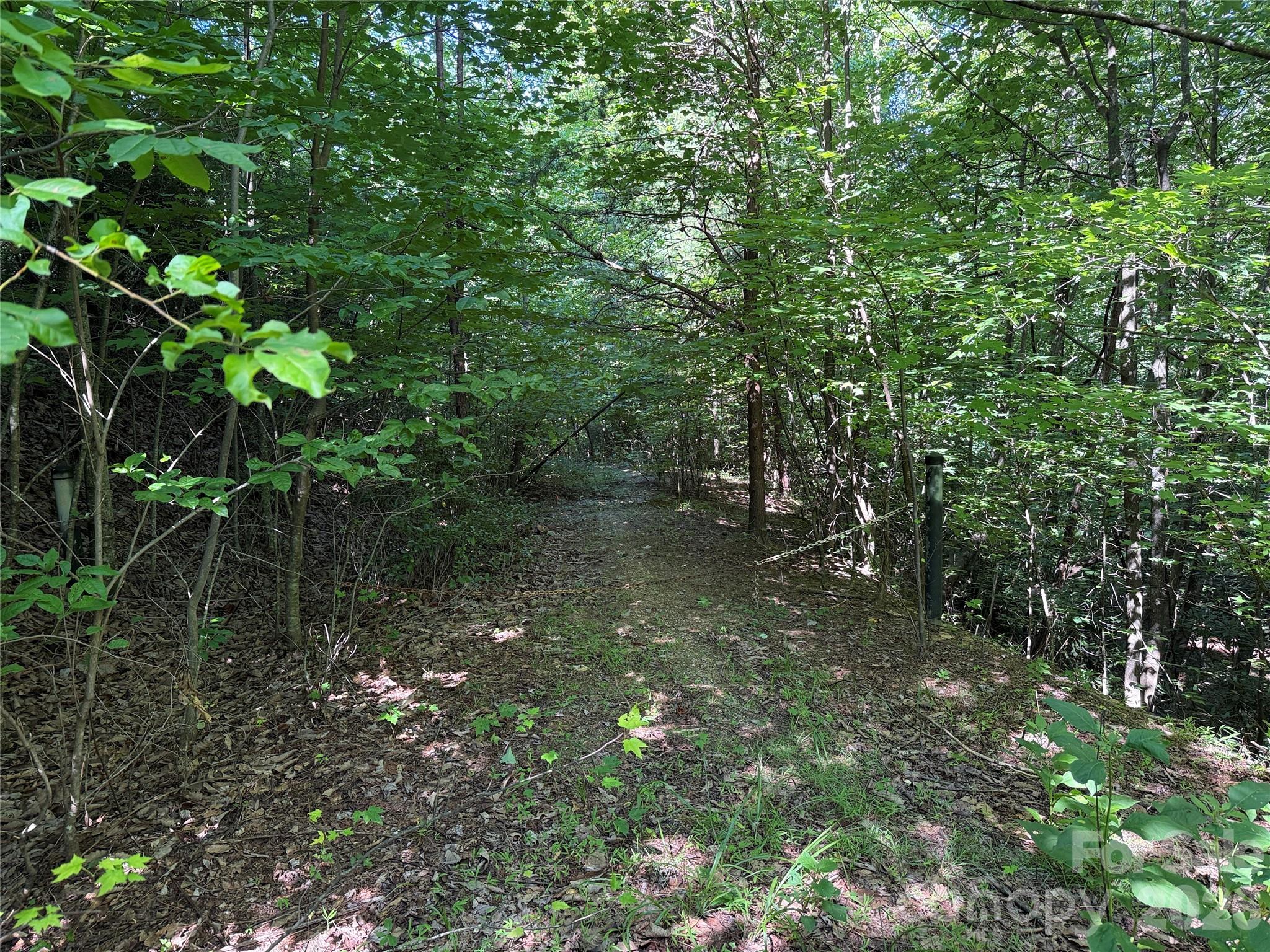 TBD Casey Mountain Road 222