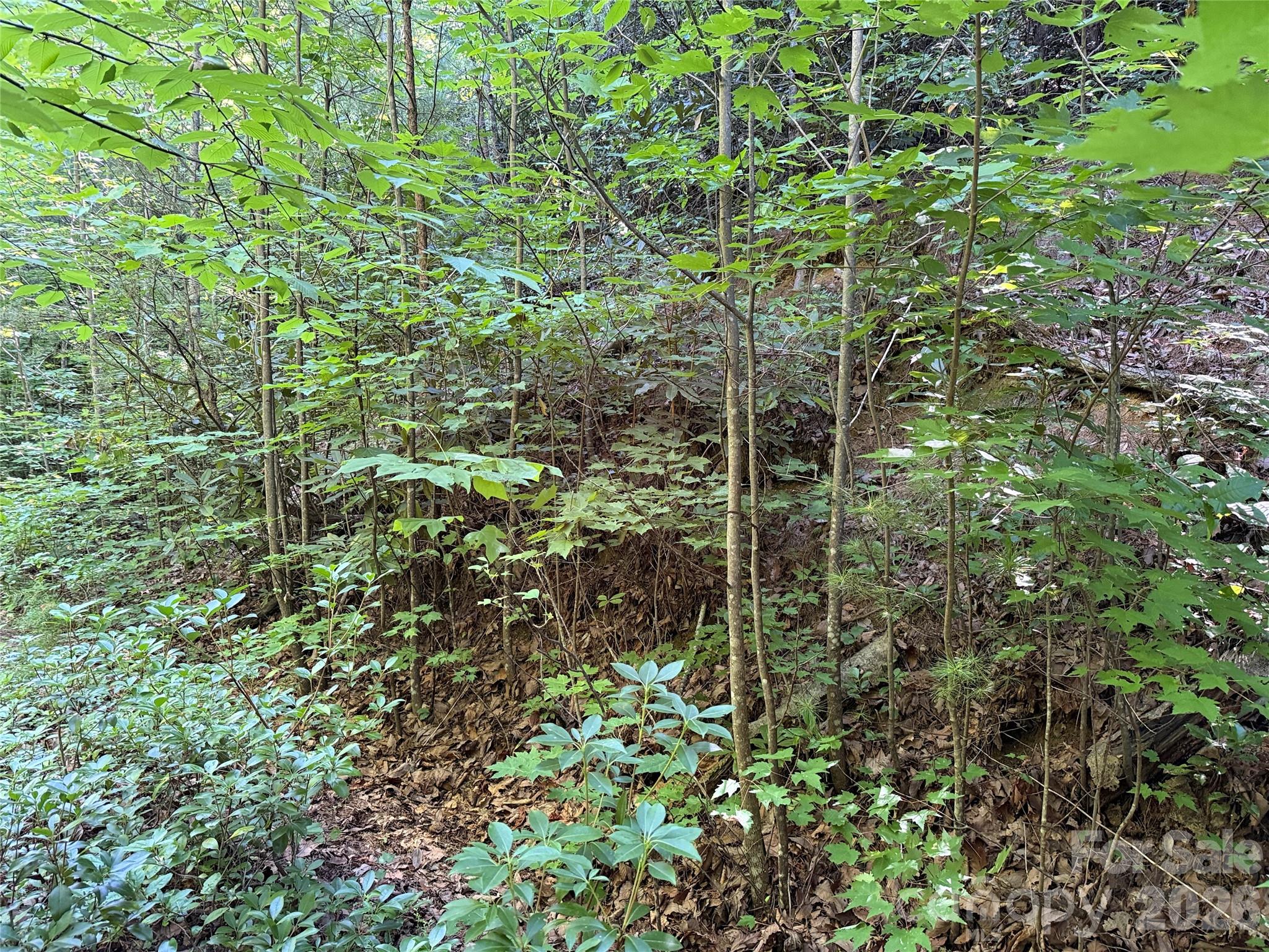 TBD Casey Mountain Road 222