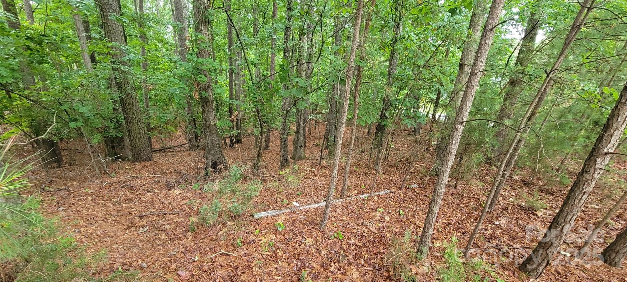 4000 Beechwood Spring Lane