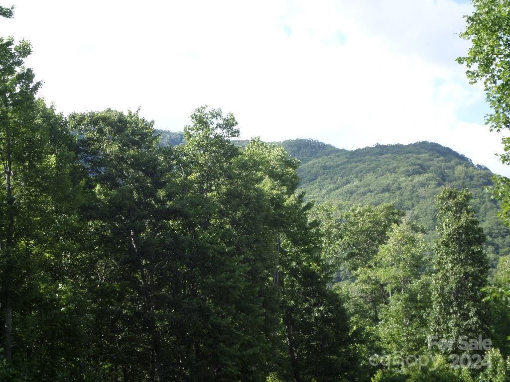 102 Tenderfoot Trail 102 & 103